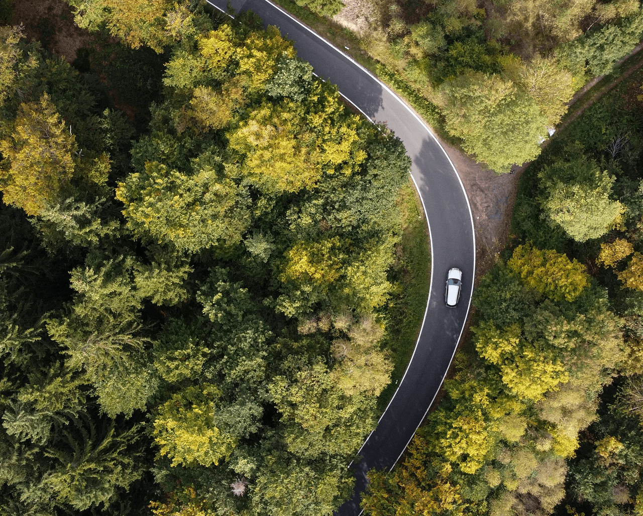 Aerial view of a road through a forest