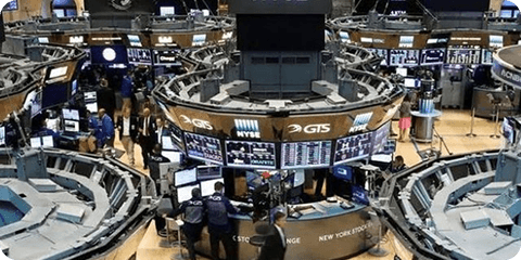 Exchanges & Fintech Platforms